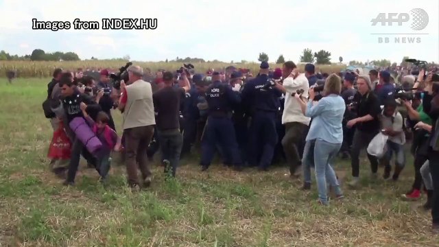 逃げる移民を蹴った女性カメラマン、世界で怒りの声　Hungarian TV camerawoman fired for kicking fleeing migrants