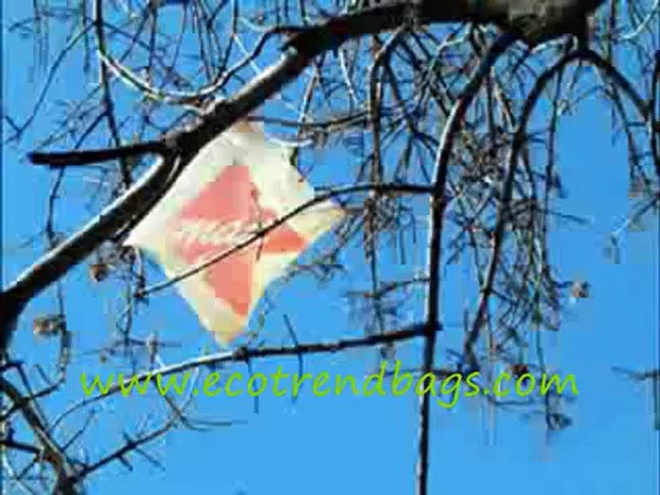 Environmental Impact of Plastic Bags & Plastic Polution