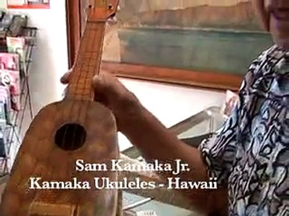 The Jumping Flea-Tales of the Modern Ukulele