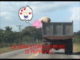 PEPPA PIG TENTA UNA FUGA D'AMORE SALTANDO DAL CAMION