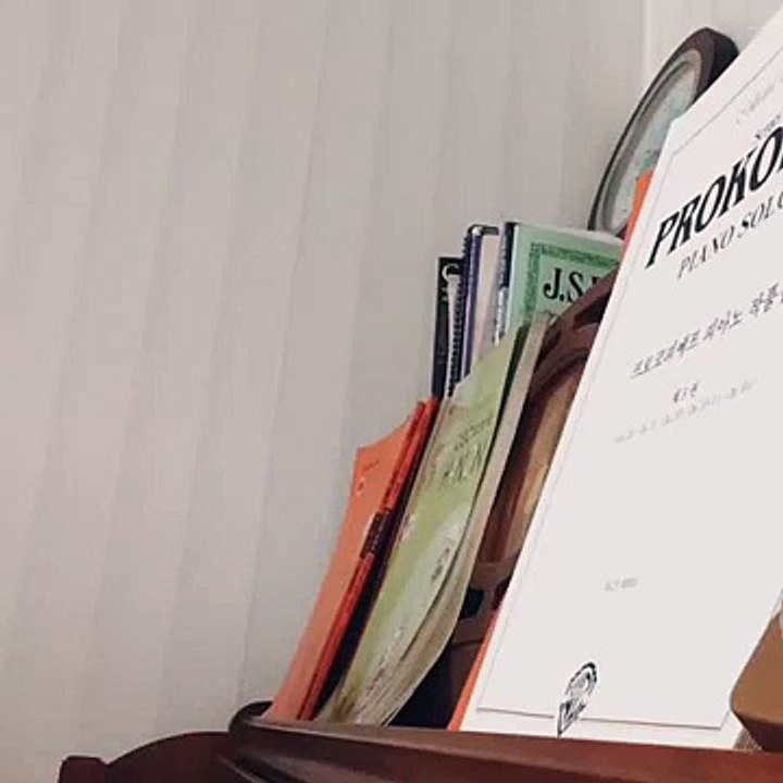 쇼팽 즉흥환상곡 chopin impromptu 개똥구멍이 연상되는 연주