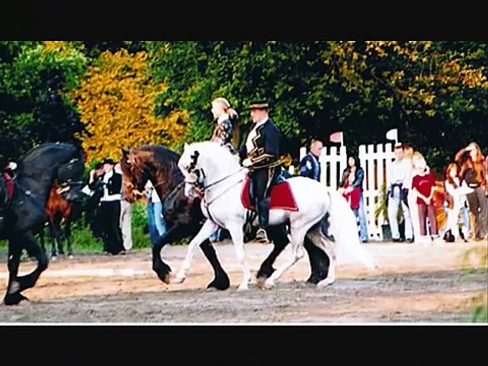 Torsten und die Pferde