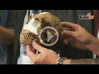 Saintis temui peninggalan spesis baru manusia