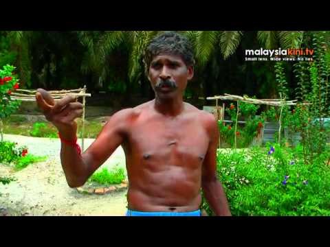 Biawak if lucky: No goodies for Merlimau poor