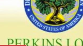 What is the Perkins Loan?