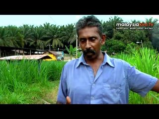 Dairy farmer enjoys polls' shower of attention