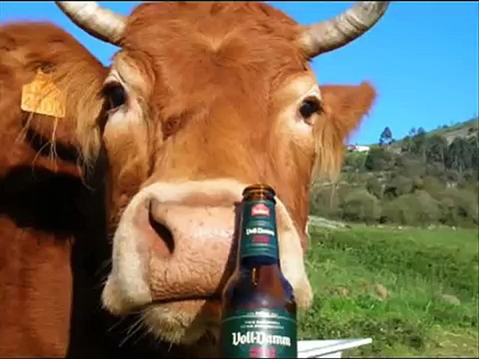 Entrerrios (Antioquia)