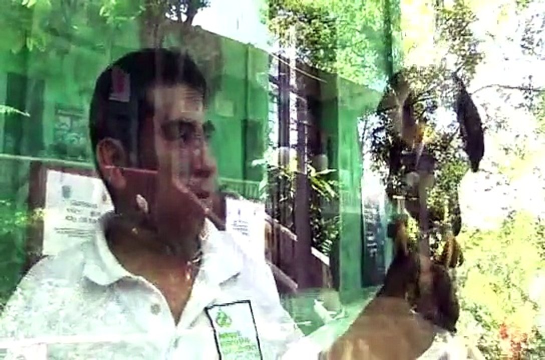 Reproduce el Museo de Macuiltépec de Xalapa 12 serpientes de Cascabel