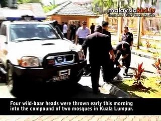 Wild-boar heads found at two PJ mosques