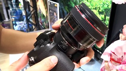 AF speed Test 1: Canon EF 50/1.2 L on Sony a7R II