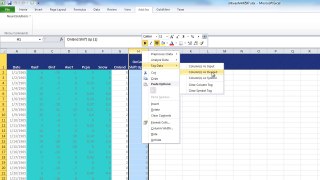 Solving Time-Series Data Problems in Excel with NeuroSolutions
