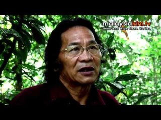 'Penans will die if jungle is destroyed'