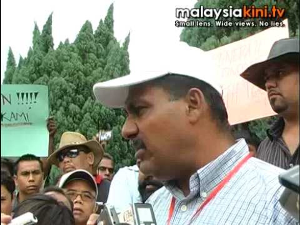 Cows again in protest against Selangor gov't