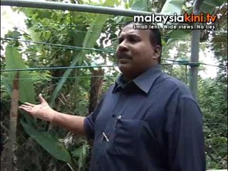 Invasion of the snakes