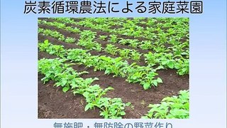 炭素循環農法の説明（一般向け(環境編)）