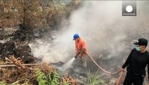 آتش سوزی گسترده در اندونزی