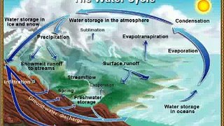 Biology Film - The Water Cycle