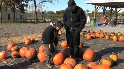 Best family activities for the fall