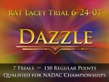 Dazzle Qualifies for NADAC Championships
