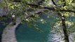 THE WORLD HERITAGE CROATIA -Echoes of choir in virgin forest and water- (Chinese)