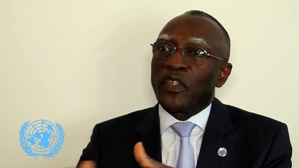 UN envoy on the Central African Republic