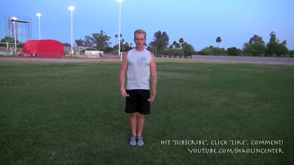 Incredible MONKEY KUNG FU Kata!!!