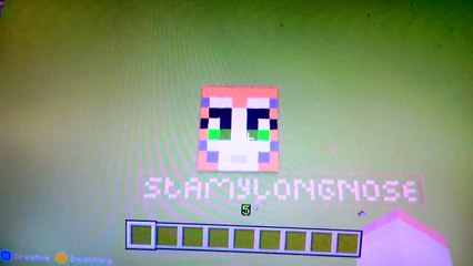 Minecraft stampylongnose