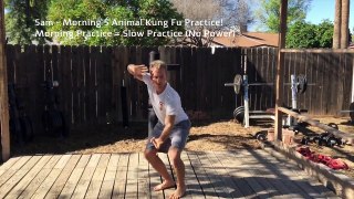 Kung Fu Practice & Amazing Vegan Dinner