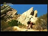 National Geographic - Descubrimientos Asombrosos - El Origen del Hombre - Español 3.5