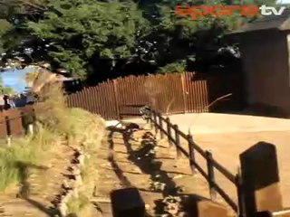 Manchester Unitedlı yıldızın zürafa aşkı