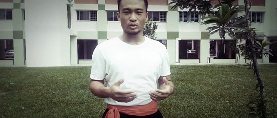 Hung Gar Kung Fu Mitts Striking