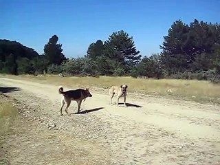 çankaya SÖĞÜTÖZÜ BAXI KOMBİ SRV.279 15 16