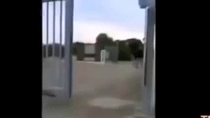 z57 reviews like some bosses