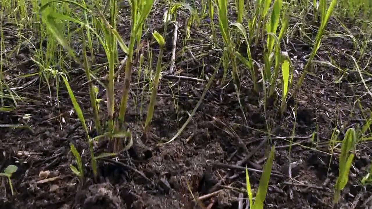 Coldplay - Beautiful World (Don't Panic)