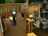 Sims 3 