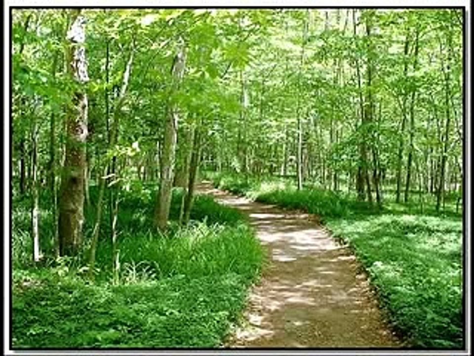 قصيدة الأصمعي