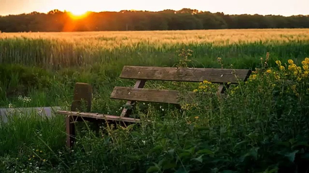 Música De Relajación Para La Estrés - Relaxation Music For Stress