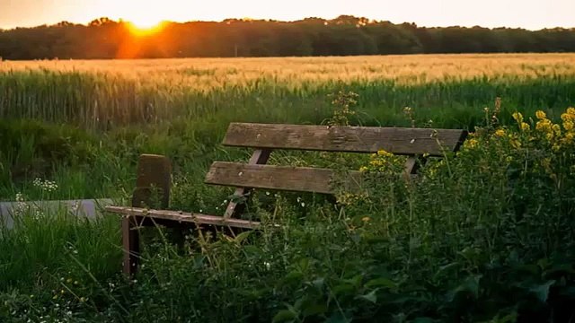 Música De Relajación Para La Estrés - Relaxation Music For Stress