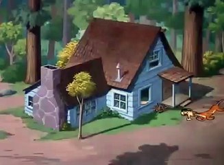 Best Cartoons Ever-Donald Duck : Lion Around