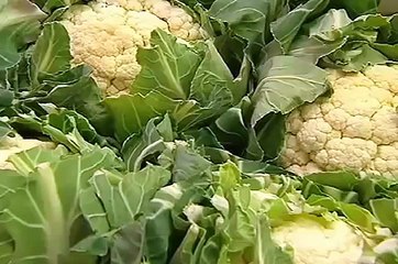 Globo Reporter França-Paes que carregam saude