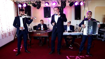 Taraful Daniel Constantin - La tara-nfloresc toti pomii ( Live )