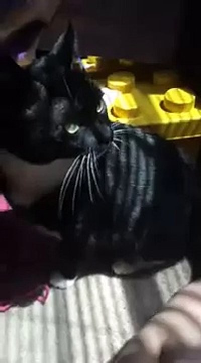 I'm-gonna-get-you-light!!