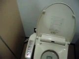 Toilet in Japan with button to make flushing sound