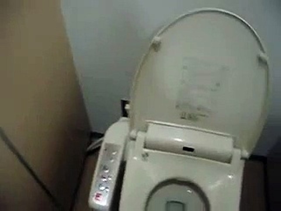 Toilet in Japan with button to make flushing sound