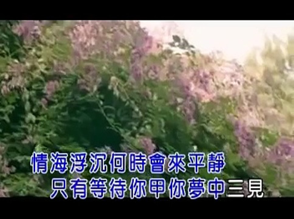 翁立友～斷情