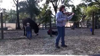 Duet with Donkeyotee
