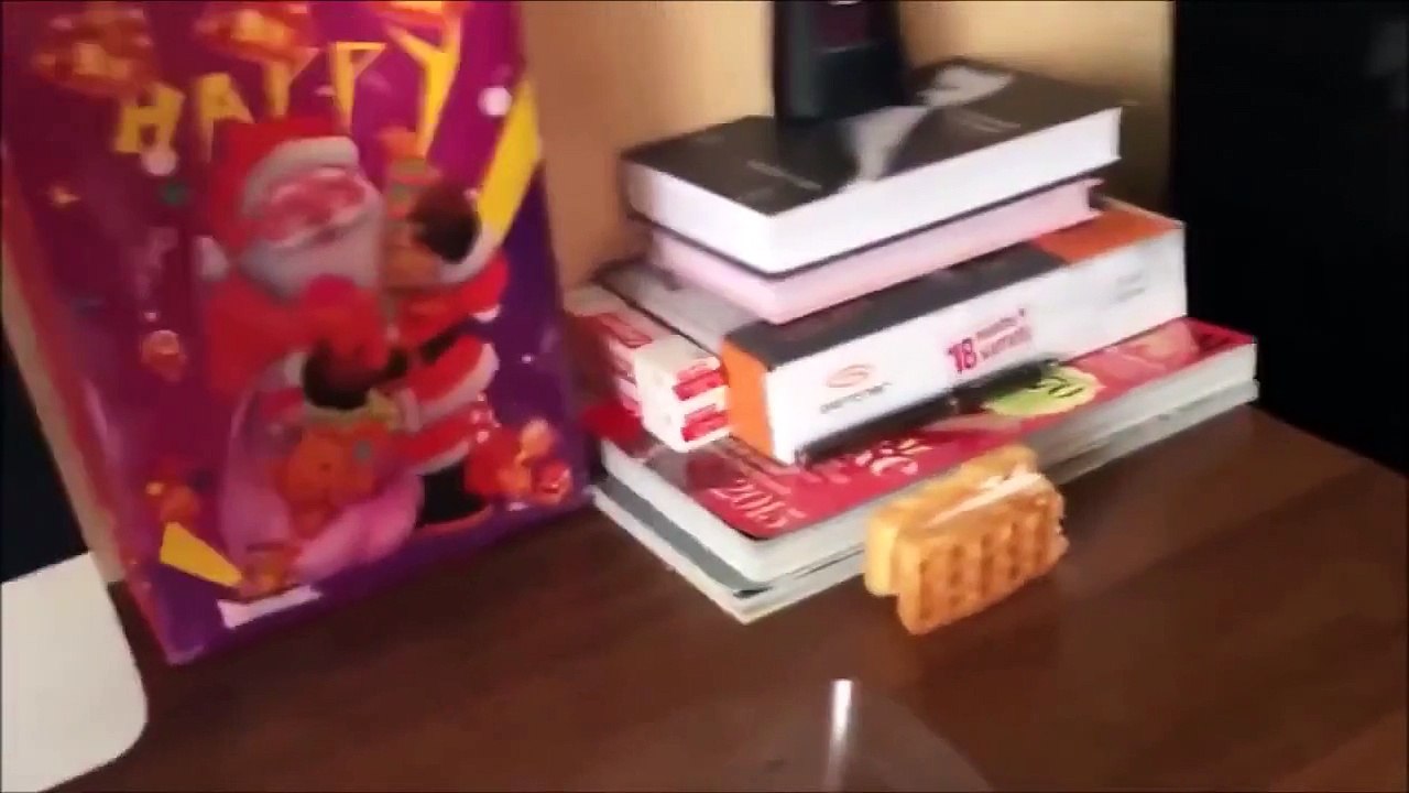 Funny Cats! New Super Video Compilation 2015!