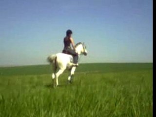 Galop avec Impala dans la jachère !
