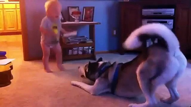 New Funny Animal Videos Compilation 2014 Baby And Husky Have Deep Conversation Funny Videos