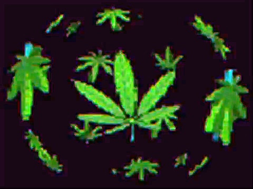 Smoke weed every day 10 mins